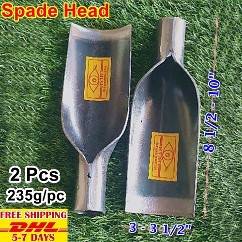 Thai vanga testa - thai, pala