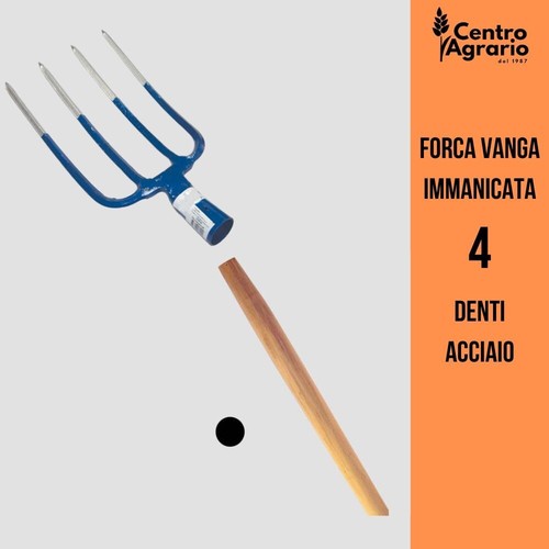 Forca vanga denti - 4,