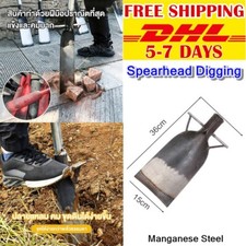 BB02 Terriccio Scavo Testa